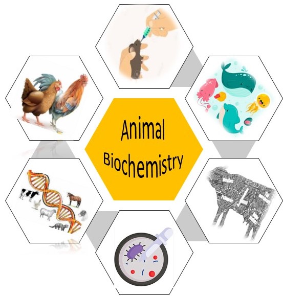 animal biochemistry topics